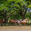 Отель Rancho Humo Estancia, фото 39