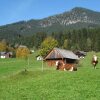 Отель Gästehaus Alpenblick, фото 27