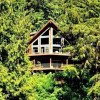 Отель Mt Baker Lodging Cabin 7 Sleeps 8, фото 1