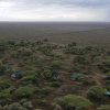 Отель Serengeti Woodlands Camp, фото 10