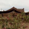 Отель Auberge Kasbah Dar Sahara Tours, фото 1