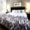 Отель Red Roof Inn & Suites Midland, фото 6