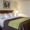 Отель Quality Inn & Suites, фото 15