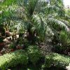 Отель Thomas Udon Thai House Resort & Hotel, фото 23
