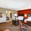 Отель Hampton Inn & Suites Tampa Northwest/Oldsmar, фото 13