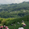Отель Yipin Chaye Homestay, фото 7