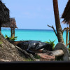 Отель Vaton Beach Bungalow, фото 9