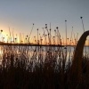 Отель Uros Suma Suyawi Lodge, фото 33