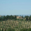 Отель Agriturismo Montaperti, фото 4