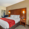 Отель Comfort Suites Southaven I-55, фото 6