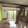 Отель Amazing Tree in Lounge Eco Apartment With Leopards Passing by at Night, фото 12