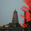 Отель Xian Jintai Hotel, фото 4