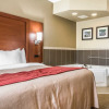 Отель Comfort Inn & Suites, фото 6