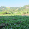 Отель Farmstay at Pha Ma Chiangrai, фото 22