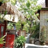 Отель Candra Surf Homestay, фото 28