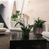 Отель Ocean Five Hotel, фото 2