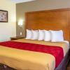 Отель Econo Lodge Weldon - Roanoke Rapids, фото 27