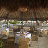 Отель Hard Rock Hotel Riviera Maya - Hacienda and Heaven, фото 9