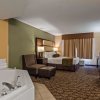 Отель Best Western Plus Vancouver Mall Dr. Hotel & Suites, фото 28