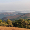 Отель Paradise Wild Hills, фото 12