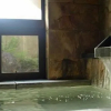 Отель Hakuba Onsen Ryokan Shirouma-so, фото 13
