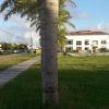 Отель Bright Apartment at Punta Cana Wifi/ac/elect/iron/parking, фото 24