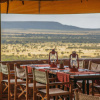 Отель Meliá Serengeti Lodge Member of Meliá Collection, фото 44
