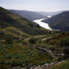 Отель Quinta das Fontainhas - Douro Valley, фото 21