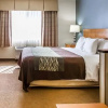 Отель Comfort Inn, фото 3