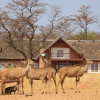 Отель Kudumela Bush Lodge, фото 12