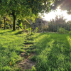 Отель Quinta de São Pedro de Vir-a-Corça, фото 14