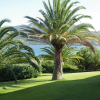 Отель Marina di fiori, фото 5