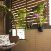 Отель Flower Bed and Breakfast, фото 15