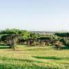 Отель Lindas's Lodge в Chimoio