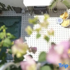 Отель Oasis Courtyard Homestay (Chaozhou Ancient City Paifang Street), фото 14