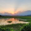 Отель Phong Nha Eco Mountain Farmstay, фото 13