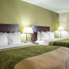Отель Holiday Inn Express Pittston - Scranton Airport, an IHG Hotel, фото 6