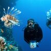 Отель Cornerstay at Dhangethi, фото 23