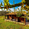 Отель Quinta do Quinto - Turismo de Habitação, фото 34