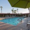 Отель Palm Springs RV Resort, фото 20