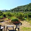 Отель Agriturismo Aiolia - Panorama Eolie, фото 25