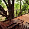 Отель Pugdundee Safaris- Tree House Hideaway, фото 8