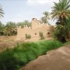 Отель Riad Tagmadart Ferme D'hôte, фото 14