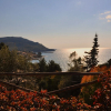 Отель Villa Laura Apartment Sea View, фото 21