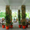 Отель Andaman Galley Resort By OYO Rooms, фото 15