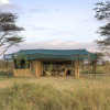 Отель Kicheche Bush Camp, фото 1