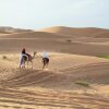 Отель Sama Al Wasil Desert Camp, фото 10