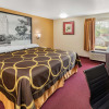Отель Super 8 by Wyndham Kinder/Coushatta near Casino, фото 11