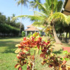 Отель Boutique Health-focused Hotel on the Beach in Sri Lanka, Just North of Colombo, фото 11