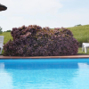 Отель Agriturismo Bonzalone, фото 11